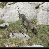 20050527_132